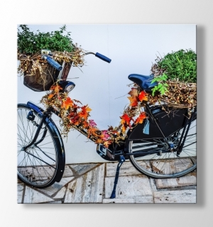 Bicycle with Flowers